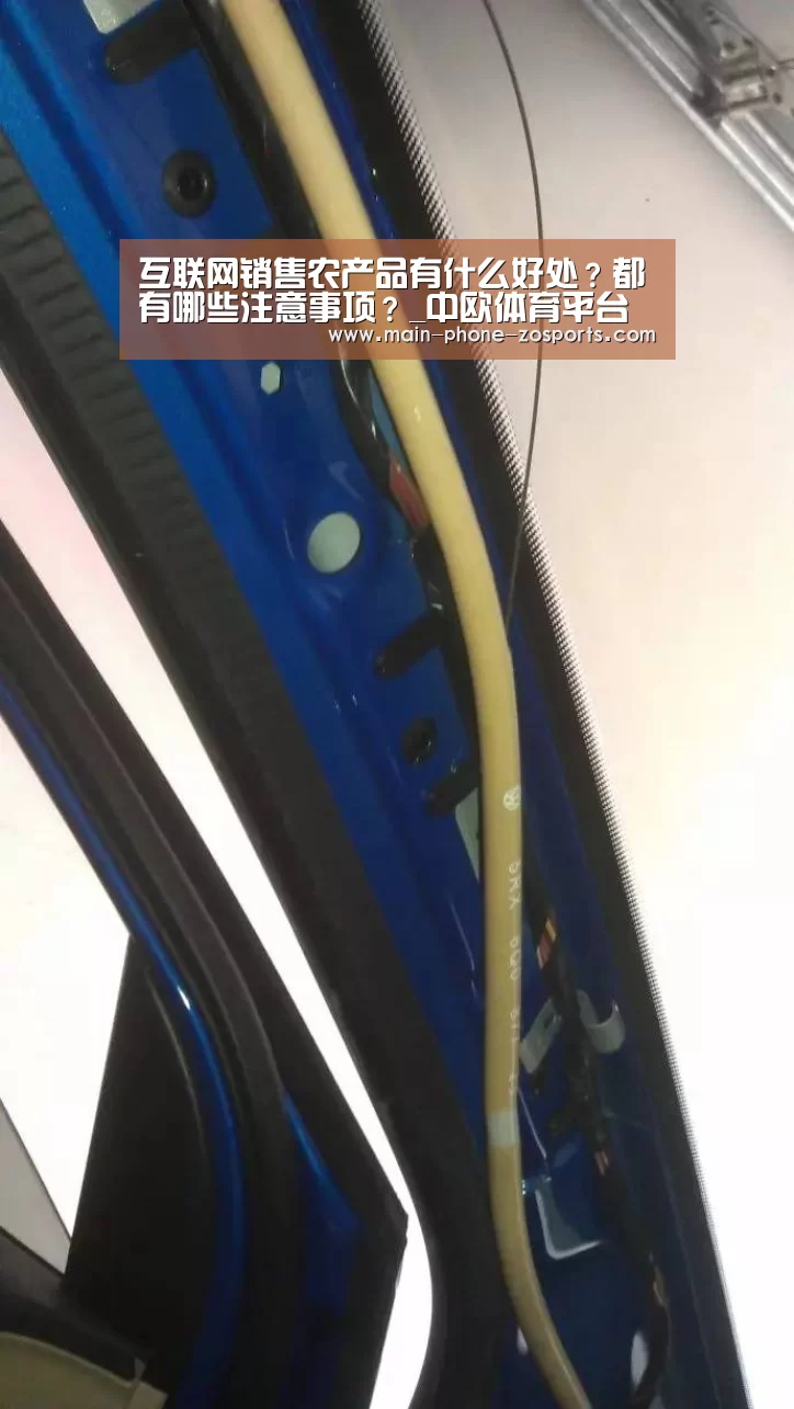 中欧体育官网