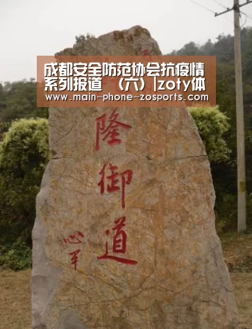 中欧体育