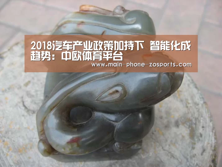 中欧体育官网