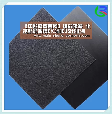 【中欧体育官网】挑战极寒 北汽新能源携EX5和EU5出征海拉尔(图2) zoty体育