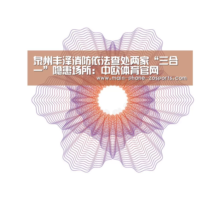 泉州丰泽消防依法查处两家“三合一”隐患场所:中欧体育官网(图4) 中欧体育平台