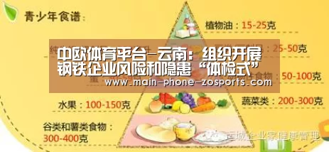 中欧体育平台-云南:组织开展钢铁企业风险和隐患“体检式”排查(图1) 中欧体育平台