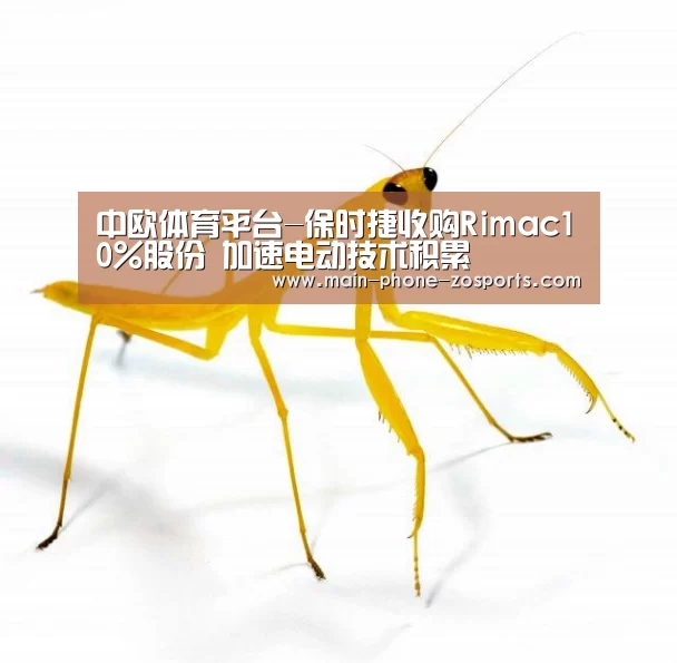 中欧体育平台-保时捷收购Rimac10%股份 加速电动技术积累(图1) zoty体育