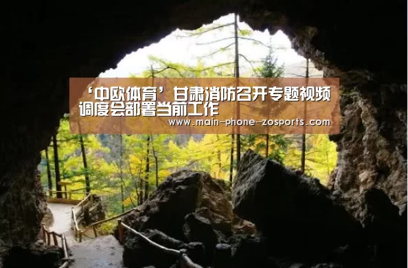 中欧体育
