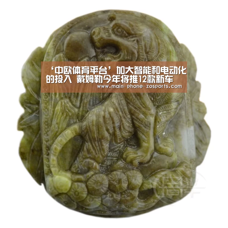 中欧体育