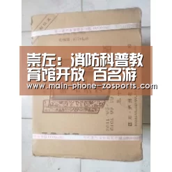 崇左:消防科普教育馆开放 百名游客参观学习-中欧体育平台(图2) zoty体育