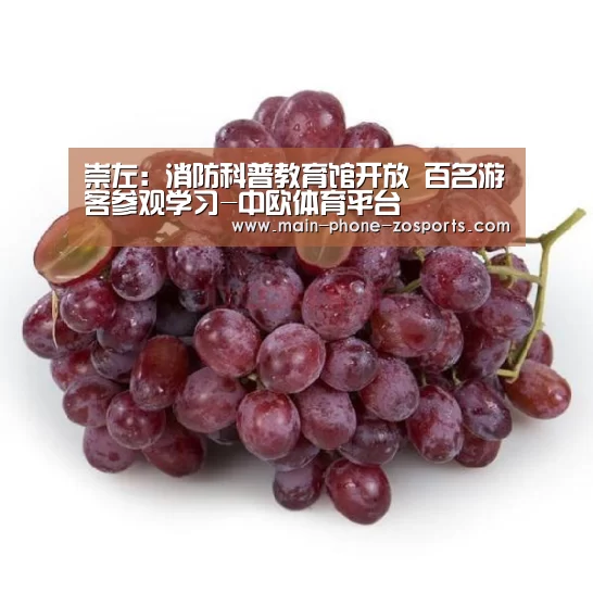崇左:消防科普教育馆开放 百名游客参观学习-中欧体育平台(图3) zoty体育